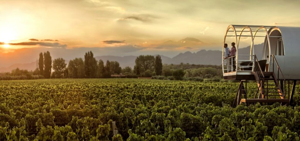 Mendoza wine country