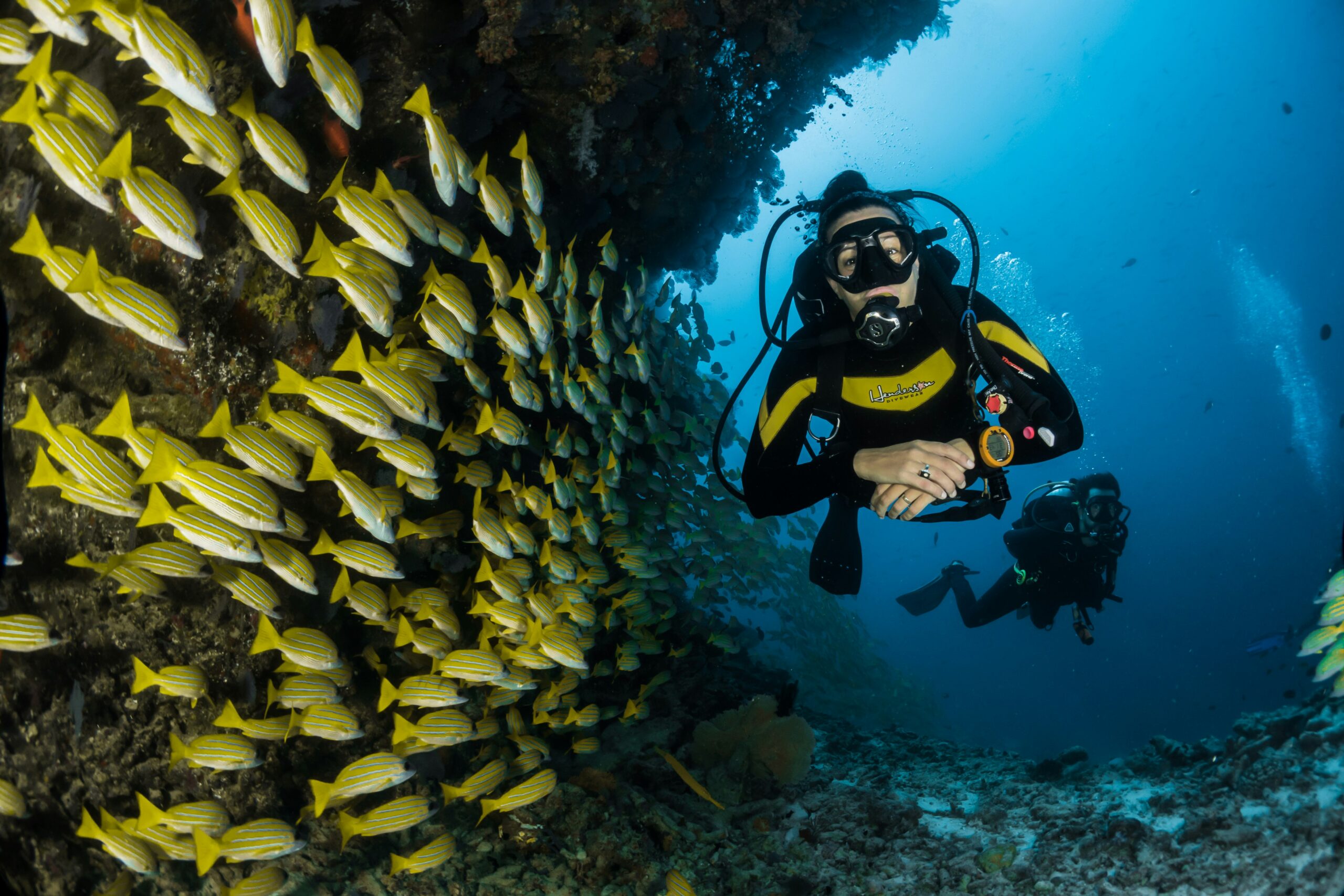 scuba and spanish