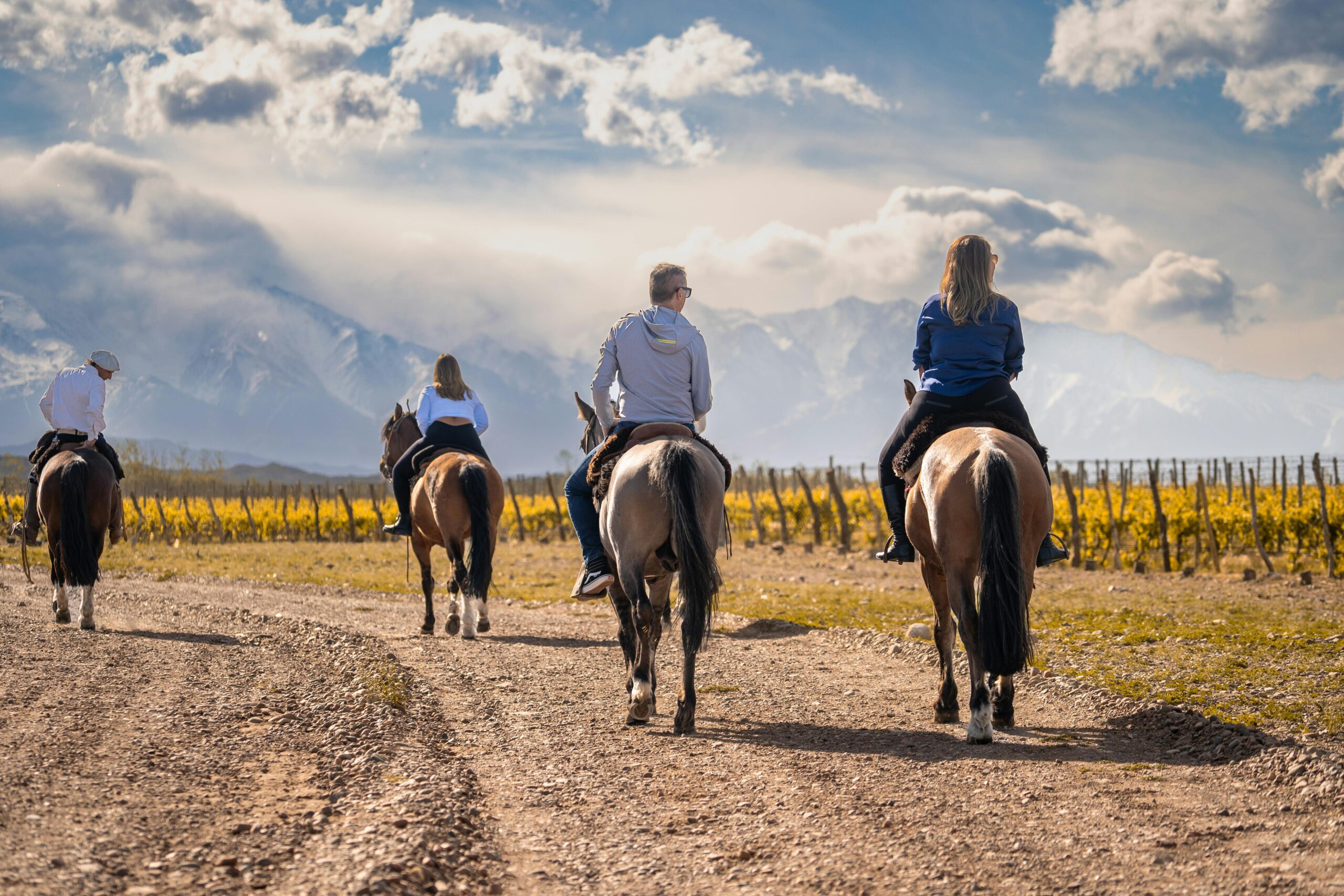horse riding through the vineyards Mendoza Argentina