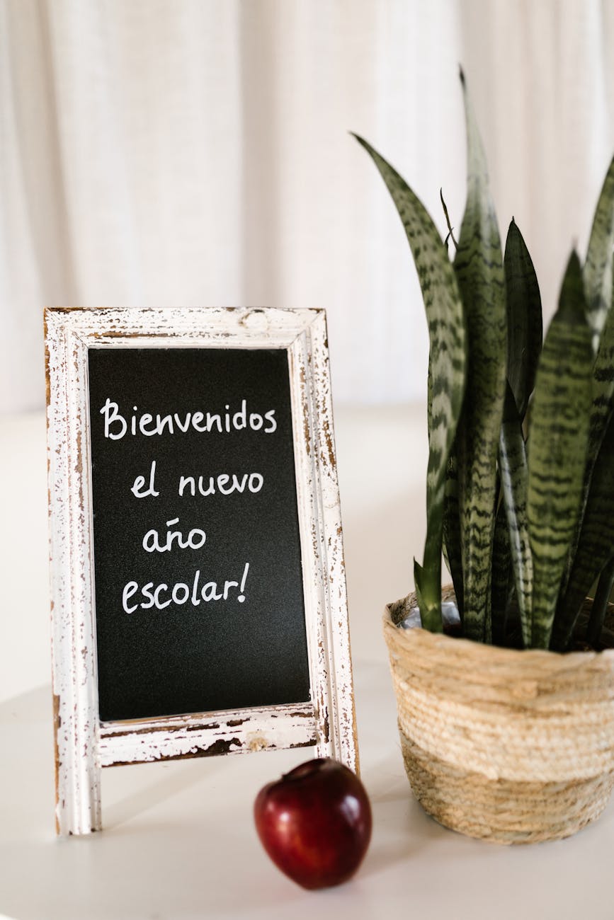 blackboard potted plant and apple