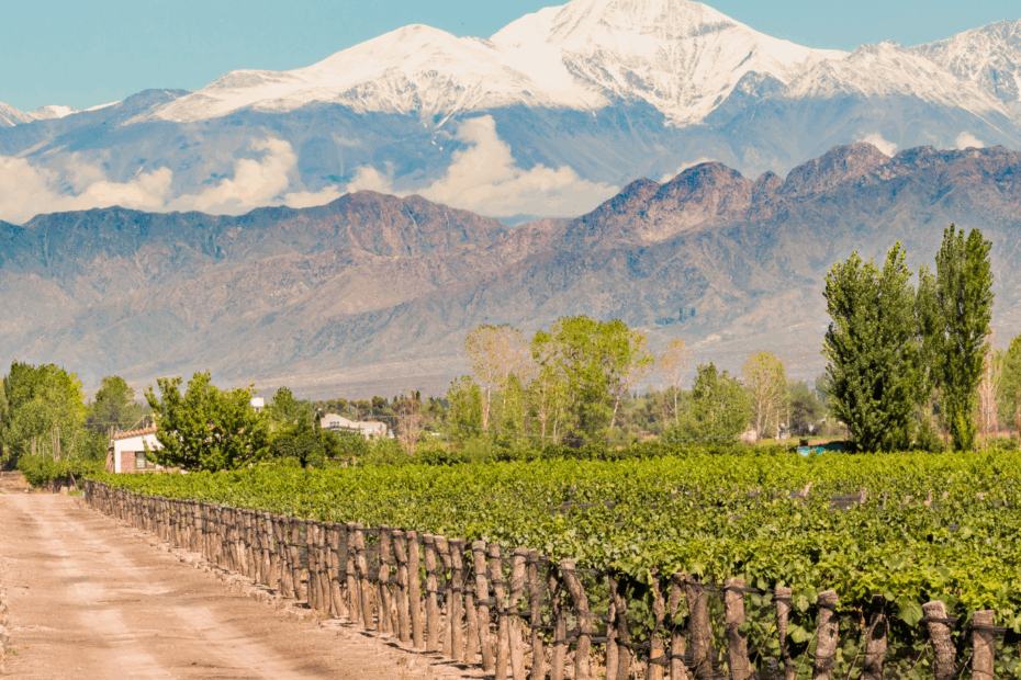 mendoza wine country
