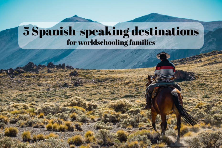 Horseback riding through the Andes mountains near Mendoza, Argentina