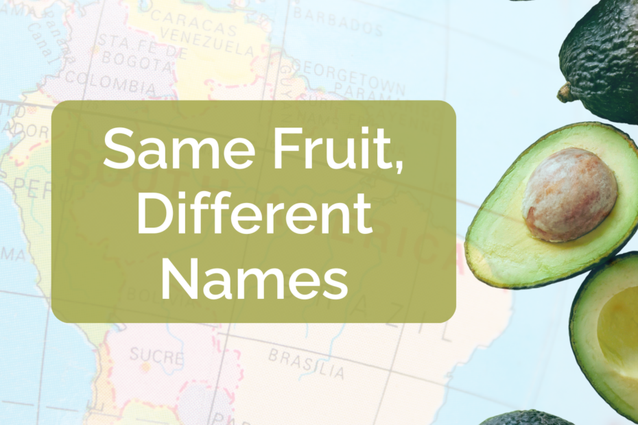 Split avocado graphic showing the same fruit labeled “aguacate” and “palta,” illustrating how Spanish vocabulary changes by country while referring to the same everyday food.